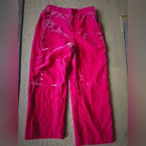 Jcrew velvet cropped pants size 4P